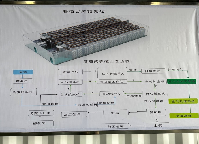 黑水虻處理