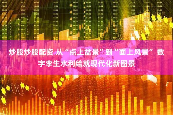 炒股炒股配资 从“点上盆景”到“面上风景” 数字孪生水利绘就现代化新图景