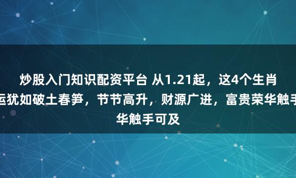 炒股入门知识配资平台 从1.21起，这4个生肖的财运犹如破土春笋，节节高升，财源广进，富贵荣华触手可及