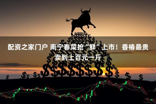 配资之家门户 南宁春菜抢“鲜”上市！香椿最贵卖到上百元一斤